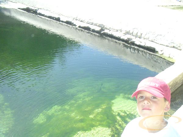 PICT0051