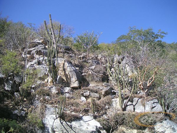 PICT0085