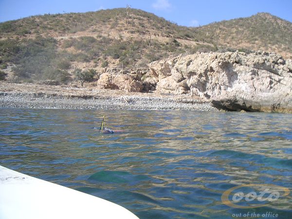 PICT0071